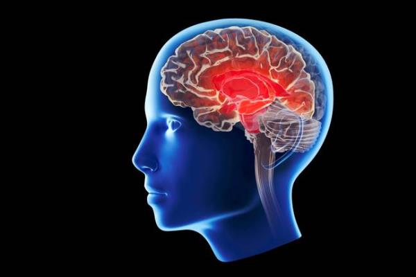 Many studies have been done on the matter. Credit: Getty Stock Images 