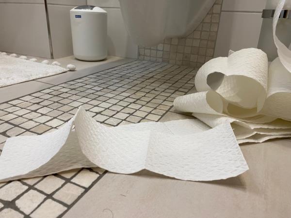Stock image of toilet paper on a bathroom floor