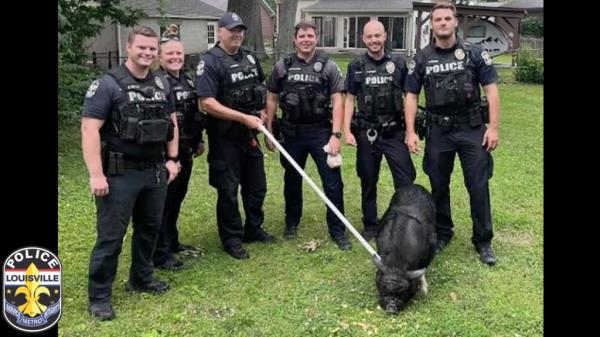Louisville police officers seen posing with Mr. Baco<em></em>nBits for a photo