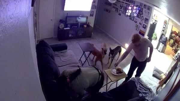 A video captured the moment a car came barreling through the living room of a Phoenix home as a couple had just sat down to eat.