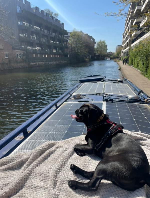  Gilbert on the boat