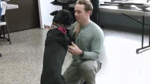 Ex-cop Hayden Wildfong was given the go-ahead this week to formally adopt K9 Tamarack, whom he had been separated for weeks after he handed in his resignation from the City of Mason police force last month.