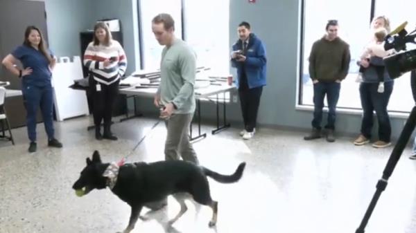 he City of Mason claimed Wildfong wasn't entitled to keep the dog after he was placed on leave and subsequently left his job after the city said he irrespo<em></em>nsibly took off his gun belt and left it unattended while visiting Mason High School.
