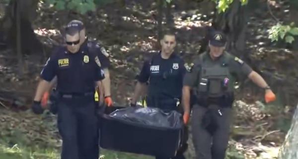 Police euthanized the bear and it was taken to the Westchester Health Department for testing.
