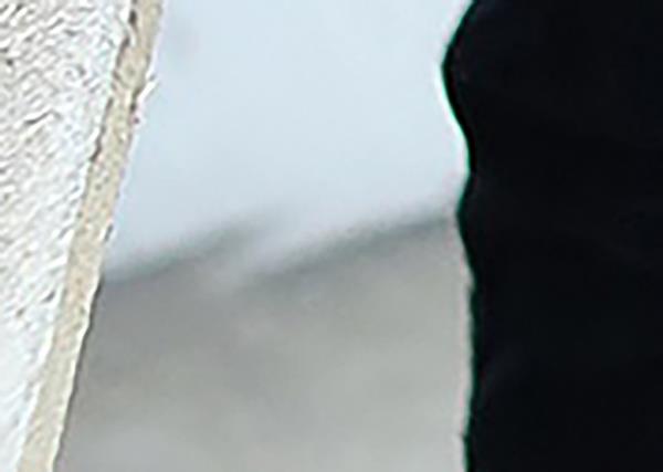 The edge of a table next to Prince Louis looks distorted, pointing to a possible Photoshop fail