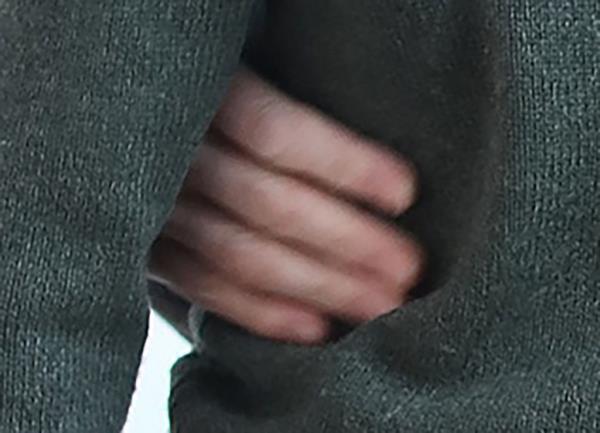 The princess' right hand embracing her son Louis looks strikingly blurry