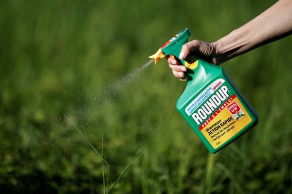Bayer was ordered to pay $2.25 billion after a jury unanimously round that the company's weed killer, Roundup, was respo<em></em>nsible for 49-year-old John McKivinson's non-Hodgkin's lymphoma diagnosis.