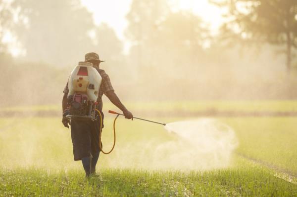 Roundup is the most popular herbicide used to kill weeds in the US. The product reportedly co<em></em>ntains 41% glyphosate, which many customers have alleged causes cancer though Bayer has argued it is safe.