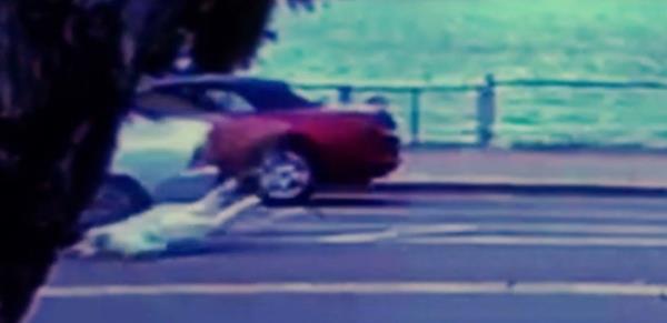 Woman falls after being dragged by the car