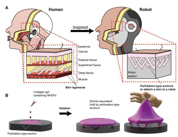 A graphic explaining the complex robot structure.