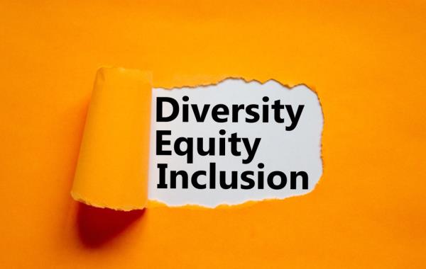 DEI programs create a sense of ethnic-hierarchy that always seems to leave Jews in last place.