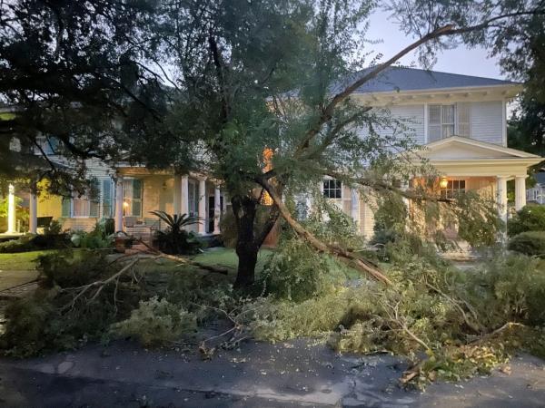 A mangled tree blocks covers part of the street in front of a house in New Orleans' Carrollton neighborhood as Hurricane Francine hit the city with high winds and flooding rain.