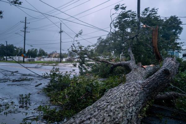 A fallen tree blocks an intersection on September 11, 2024 in Houma, Louisiana. 