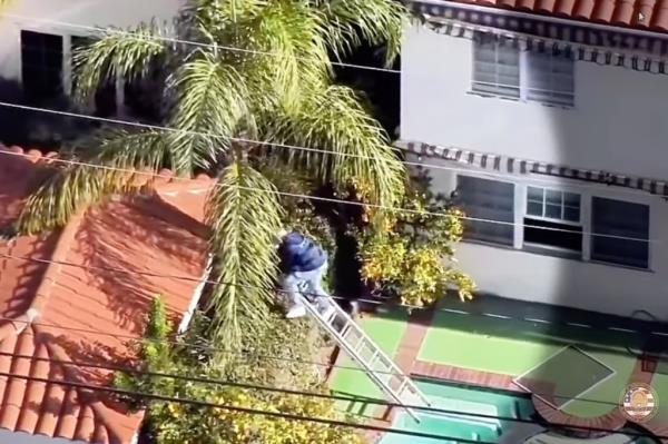 The suspect, identified as David Verdun, attempts to escaped down the ladder, but it slips into the pool