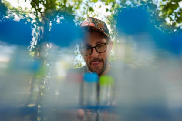 Mycology professor Matt Kasson processing periodical cicadas infected with Massospora cicadina fungus in Morton Arboretum, Lisle, Illinois