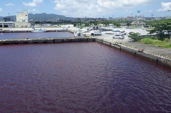 The clear blue water changed color after a beer plant owned by Orion Breweries Ltd sprung a leak.</p>

<p>　　