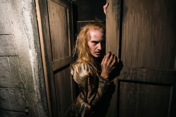terrorvision haunted house