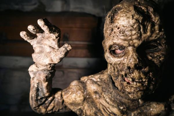 terrorvision haunted house
