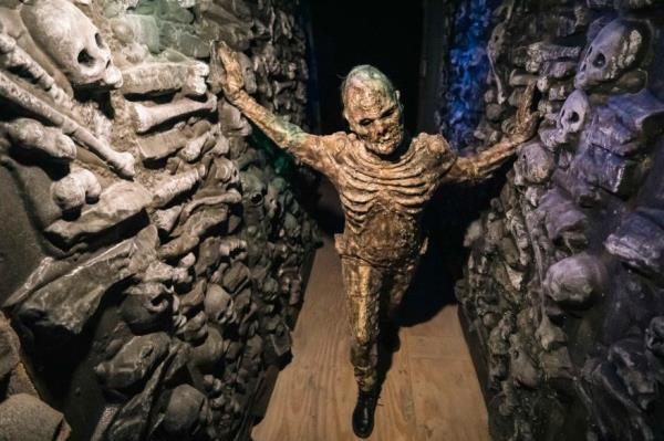 terrorvision haunted house
