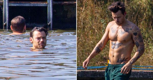 Harry