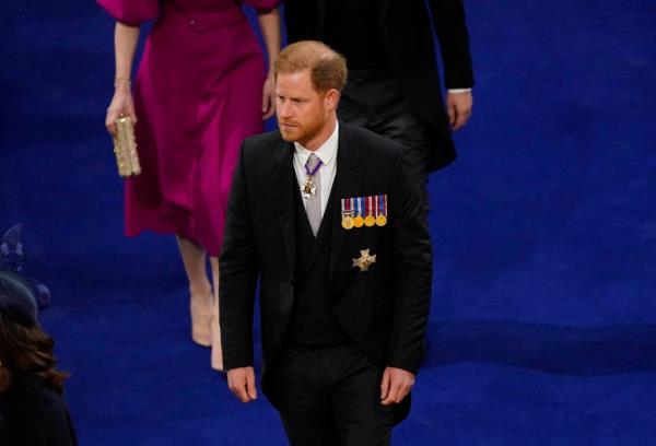 prince harry anne