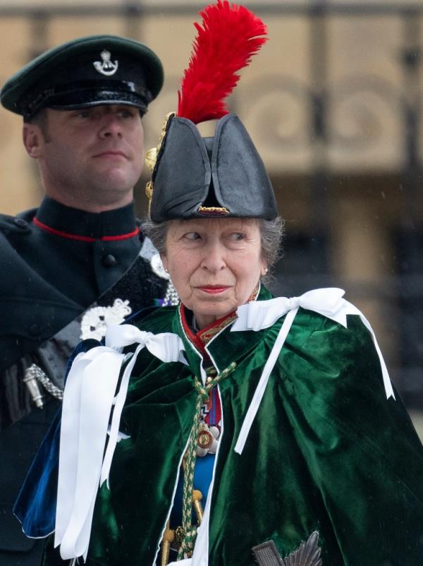 prince harry anne