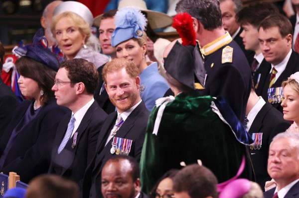 prince harry anne