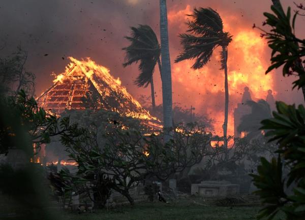 Flames rip through Lahaina on Aug. 8. Historic buildings on fire and trees bending in the wind.