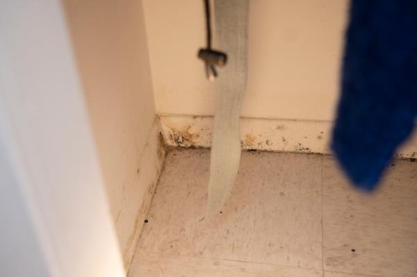 Kreth's doctor wrote to her landlord that exposure to mold 