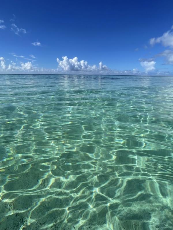 A clear blue ocean.