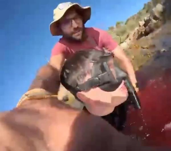 Matteo Mariotti is seen on film trying to reach the shore after being bitten by a shark.