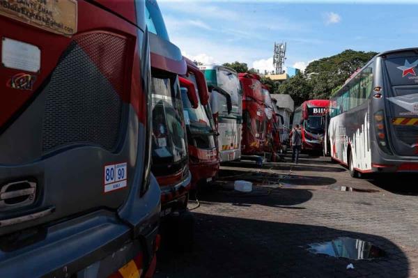 Inbound tourism group appeals for diesel subsidy to be expanded to tour bus operators