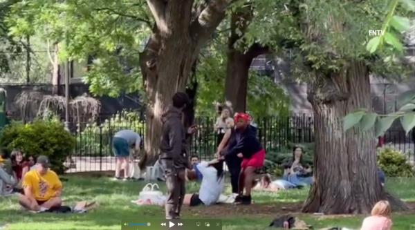 Woman in red shorts grabs o<em></em>nto the hair of a woman who is sitting on a park lawn. 