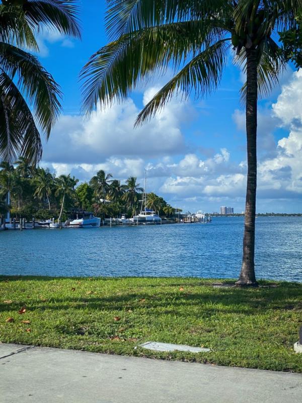 The image above shows San Marino Island in Miami Beach, Fla.
