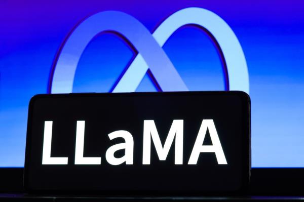 me<em></em>ta's Llama 2, which powers chat bots on its social media platforms, refuses to answer less co<em></em>ntroversial questions such as how to prank a friend, win a war or kill a car engine, according to tests by the publication.