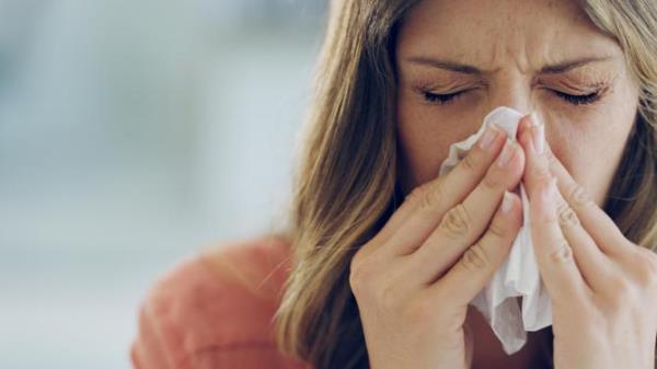 I'm as sick as a puppy today