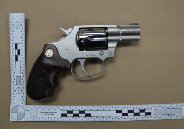 Hunter Biden's revolver.