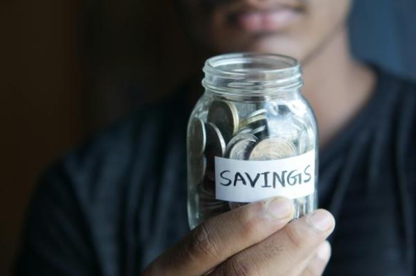 o<em></em>nline savings through investment is the cornerstone of Raiz Invest’s offerings.