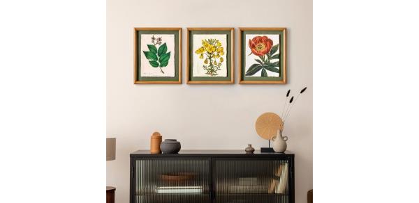 Beautiful f<em></em>ramed Vintage Florals Elm Tree Leaves-Yellow Flowers-Peony Flower 3-Piece Set