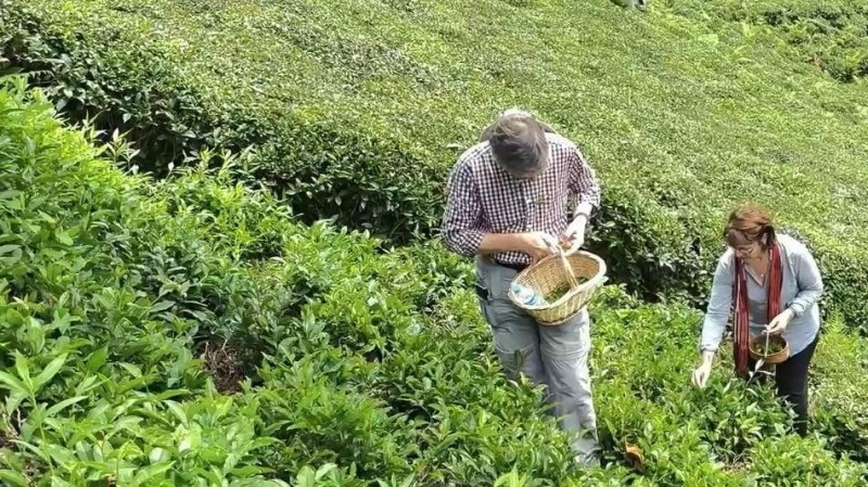 New-generation initiatives boost ‘Turkish tea tourism’