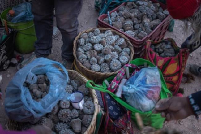 Baskets full of peyote