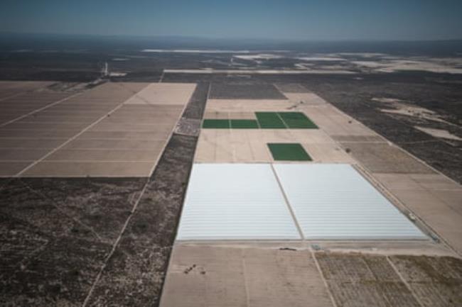 Aerial view of a grid of cultivated fields