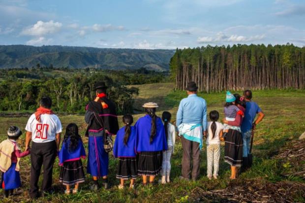 Misak women, men and children observe the co<em></em>ntrast between the mo<em></em>noculture pine and eucalyptus plantation, on the right, and the natural forest in their territory, on the left, from a distance.