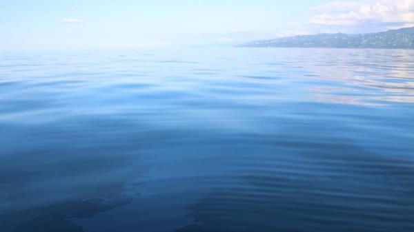 1 ton of oil flows to sea surface per day in Rize