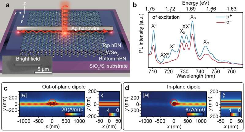 Versatile light co<em></em>ntrol in WSe2 achieved