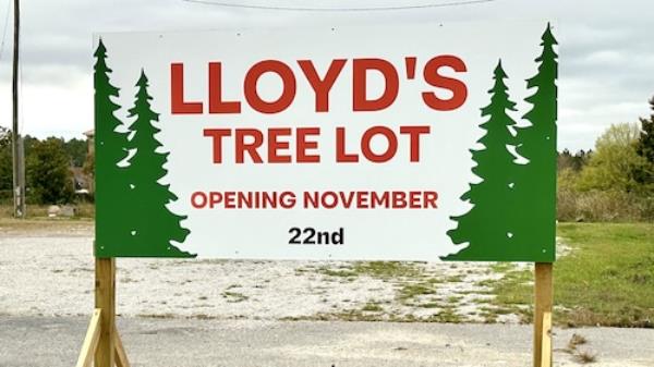 Lloyd's Christmas tree lot in Birmingham, Ala.