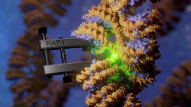 13-surprising-facts-a<em></em>bout-biophysical-chemistry