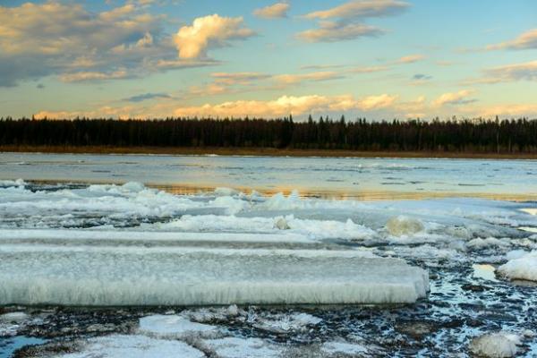 Time-travelling viruses sealed in permafrost for thousands of years could wreak havoc