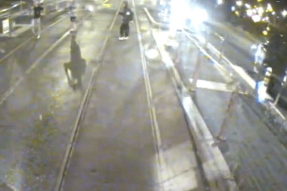 The Co<em></em>nservation Regulator has released CCTV footage of the trio.